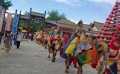 小东西几天没做水这么多作文